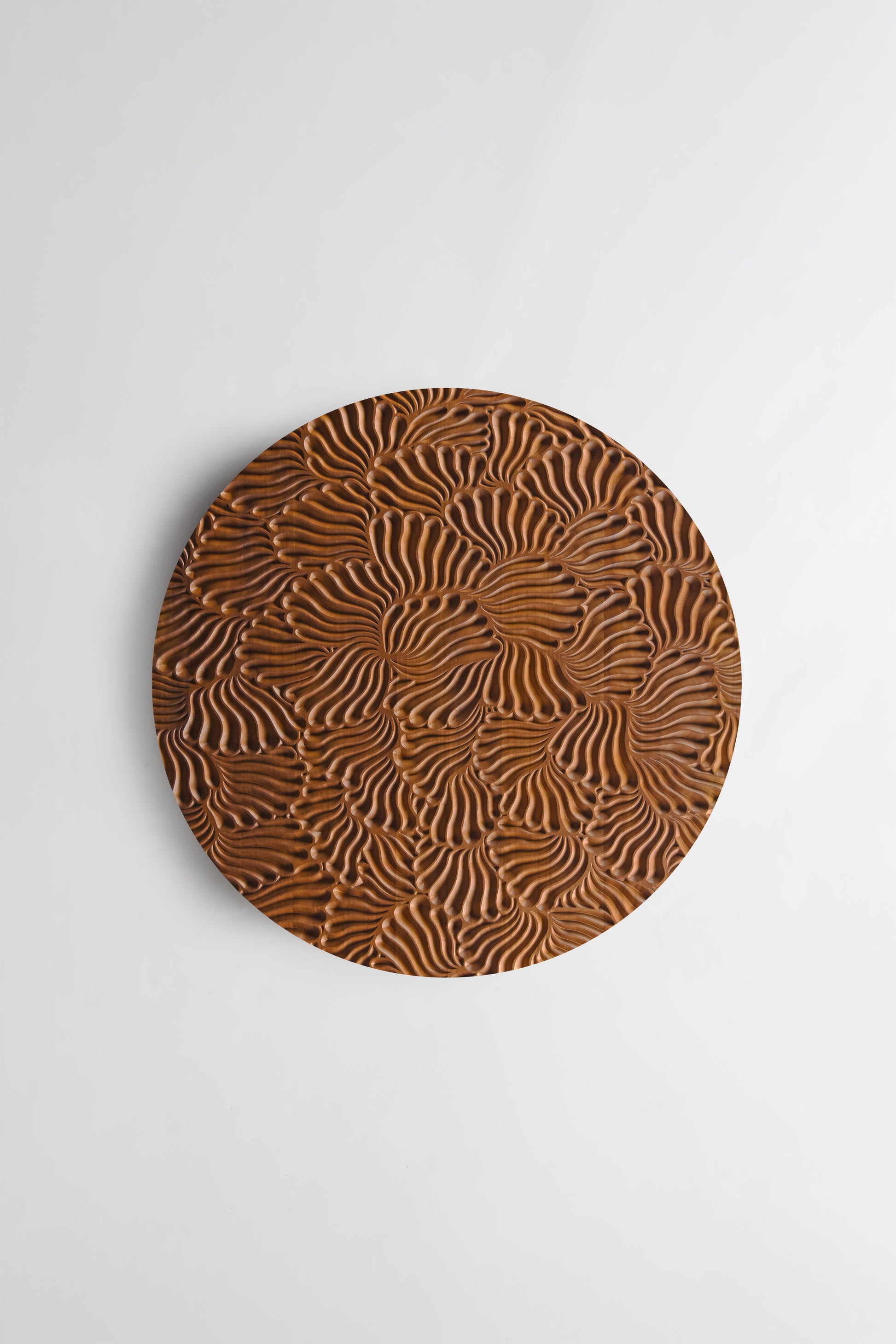 Shells round iroko wall sculpture styled in arched niche interior