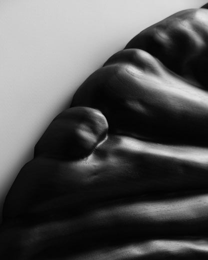 Macro detail of rounded black wood forms and subtle highlights across the carved surface