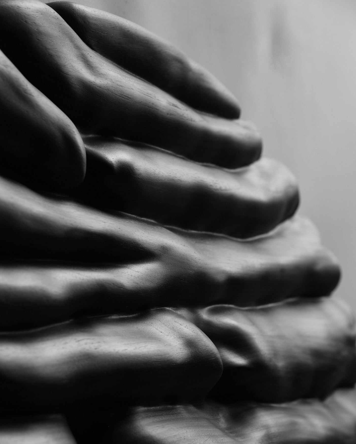 Close view of curved black wood forms with visible grain and hand finished contours