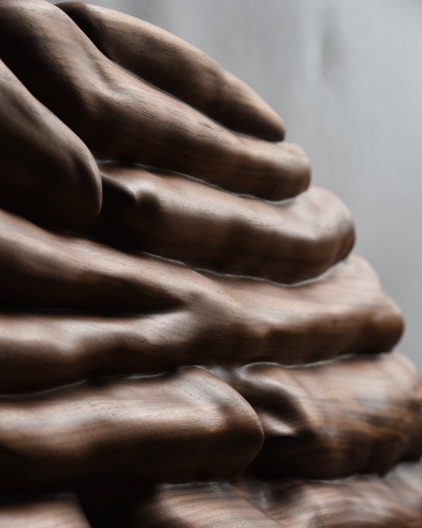 Upper relief detail showing smooth horizontal strata and shifting light across the walnut