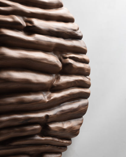 Partial view of Strata showing the circular edge and dense sequence of sculpted layers